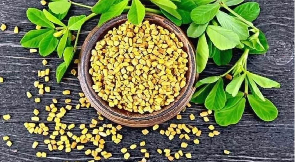 मेथि खानुका अचुक फाईदाहरु, एक पटक अवस्य पढ्नुहोला