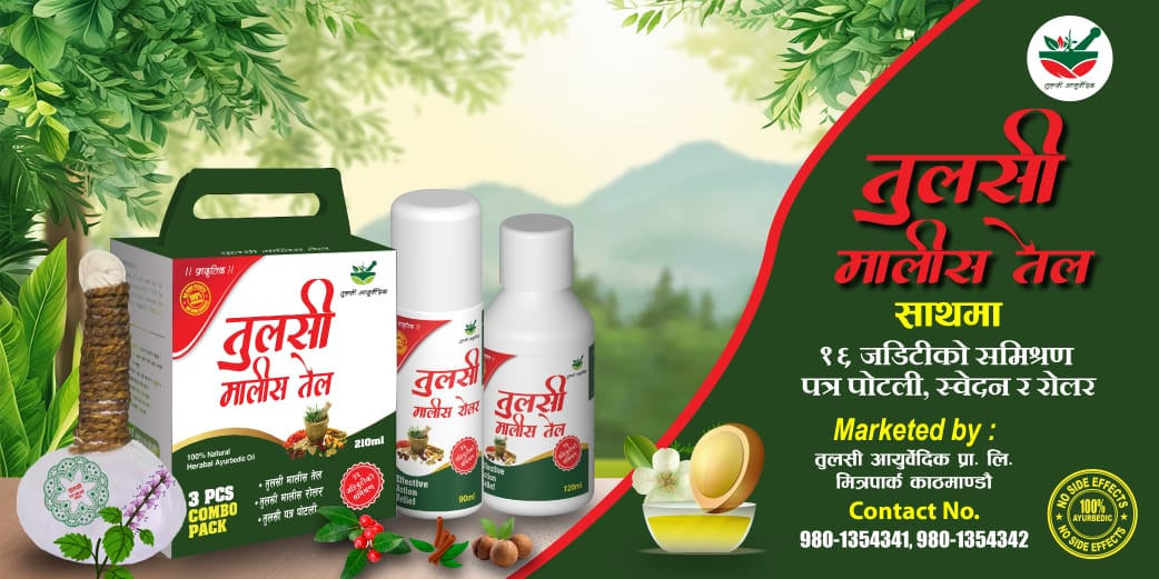 बाथरोग, हाडजोर्निको दुखाई कम गर्ने तुलसी मालिस तेल बजारमा