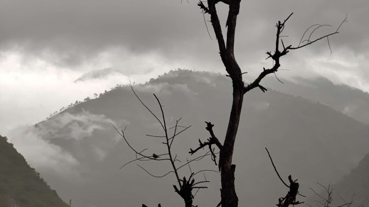 पश्चिमी वायुको प्रभाव : आज कोशी र गण्डकी प्रदेशमा आंशिक बदली, तराईमा हुस्सु र कुहिरो
