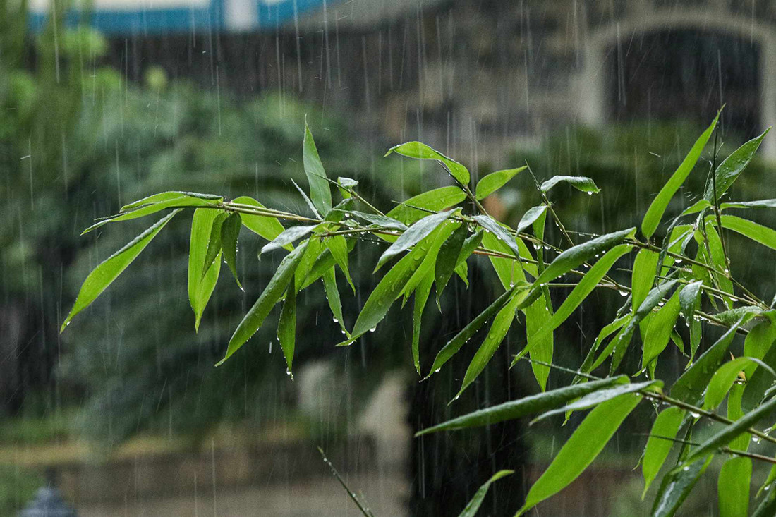 आजको मौसमः चार प्रदेशमा मेघ गर्जन र चट्याङ्गसहित हल्का बर्षा हुने