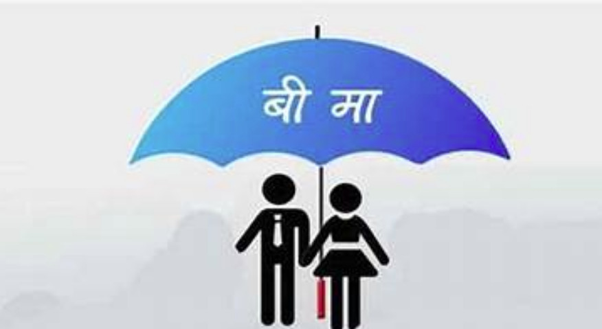 छ बीमा कम्पनीको पाए शेयर निष्कासन अनुमति, चार कम्पनी अनुमतिको पर्खाइमा