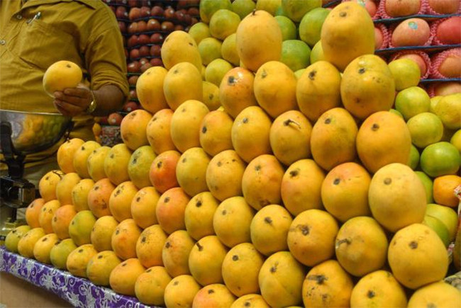 आँपमा भेटियो अत्यधिक मात्रामा विषादी, धनगढीमा नष्ट गरियो २ हजार किलो