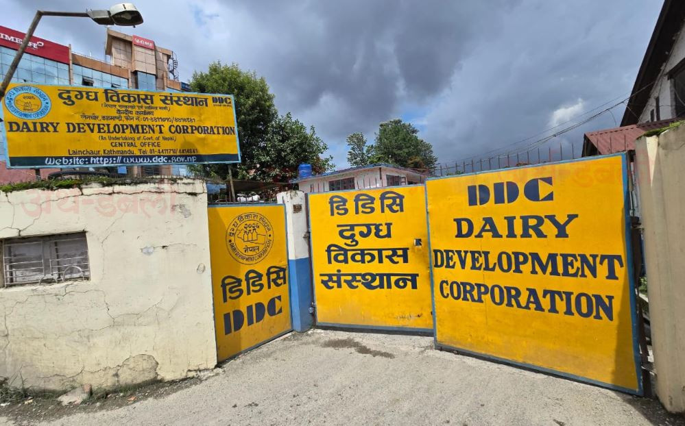 दुग्ध पदार्थ बिक्री नहुँदा डीडीसीका सबै भण्डार गृह भरियो, मूल्य समायोजन गरेर बेच्ने तयारी