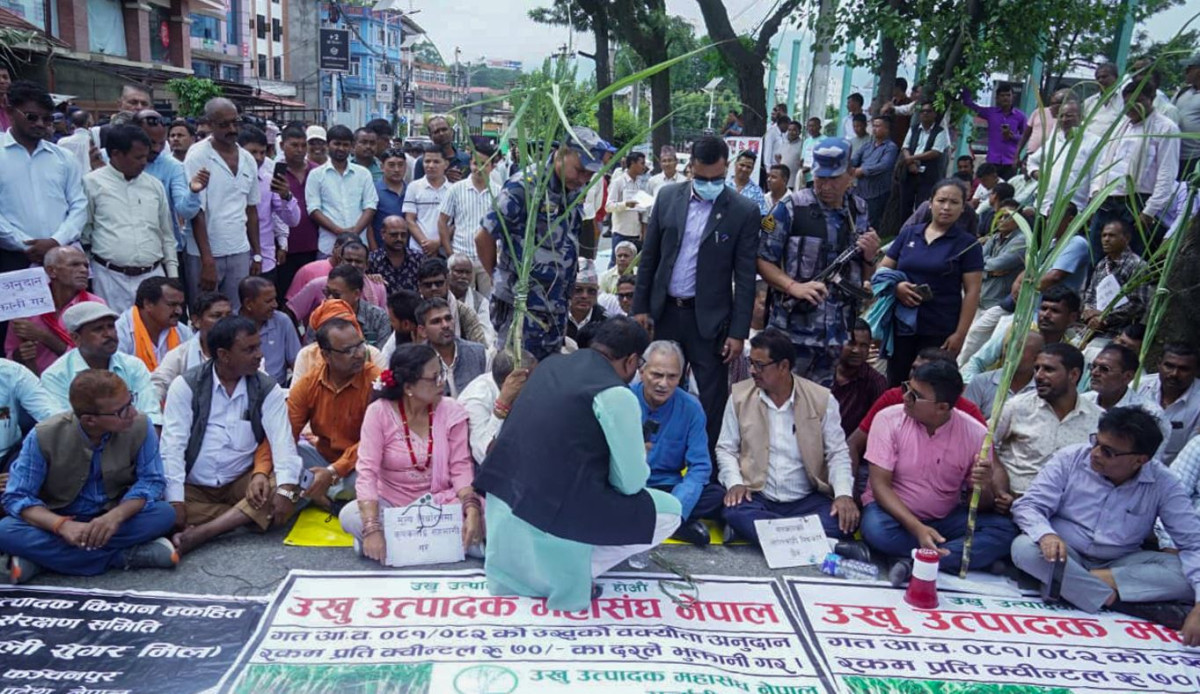 उखु किसानलाई अनुदान निकासा, बिहीबारसम्म किसानको खातामा रकम जाने