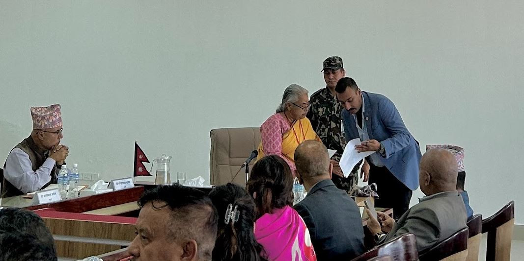 प्रधानमन्त्रीसँग अटोमोवाइल्स व्यवसायीहरूले गरे छलफल, सरकारलाई दिए यस्तो सुझाव