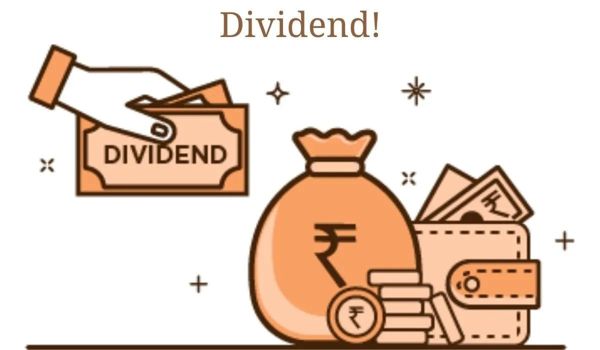 प्रोफेसनल होल्डिङ्सले सेयरधनीलाई ५० प्रतिशत बोनस सेयर दिने