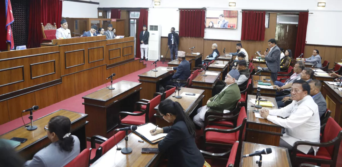प्रतिनिधिसभा निर्वाचनसम्बन्धी विधेयक राष्ट्रिय सभाबाट पारित