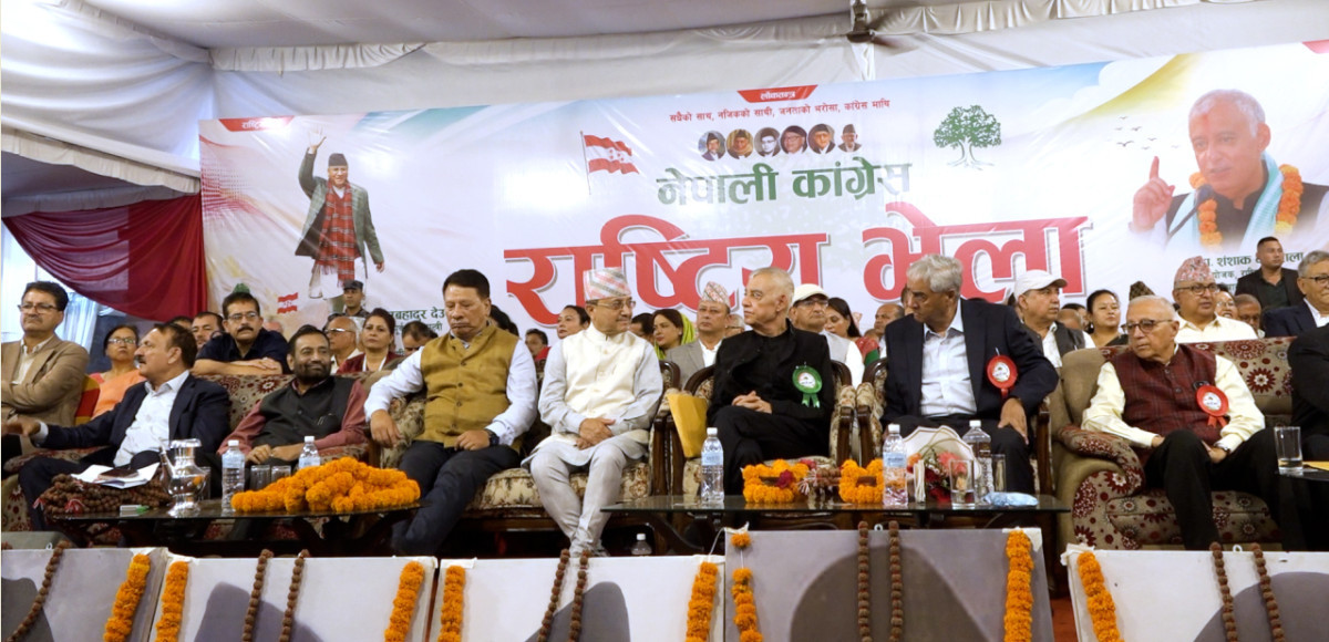 कांग्रेसको इतर पक्षले सार्वजनिक गरेको आर्थिक सामाजिक नीतिमा के छ ?