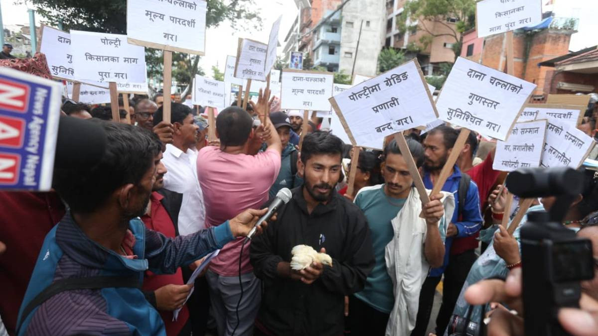 १२ बुँदे माग राख्दै चल्ला बोकेर पोल्ट्री व्यवसायी आन्दोलनमा